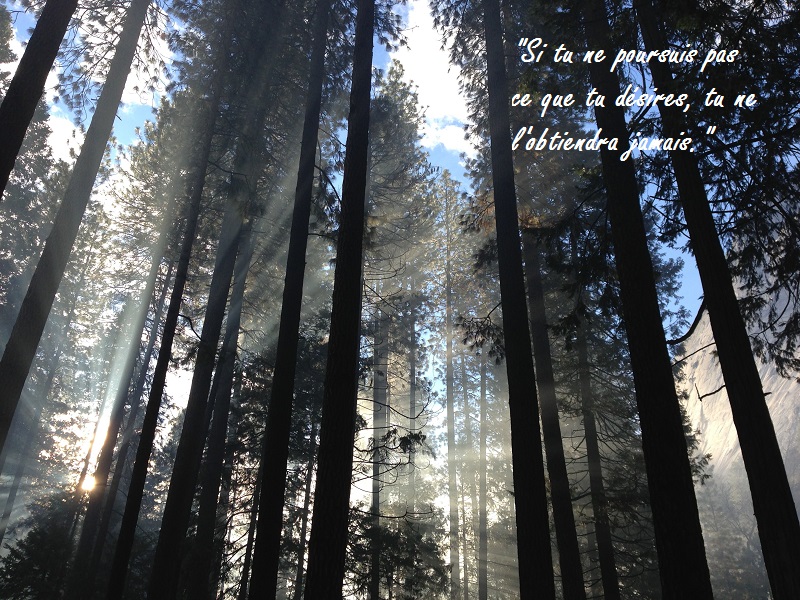 photo-1436407886995-41f8f5ee43ad