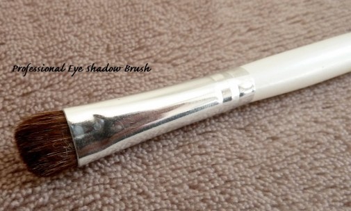 P1110169 (800x483)(1)