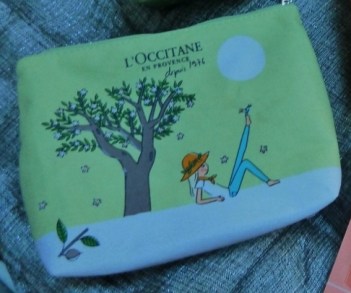 P1110811 (800x699) - Copie