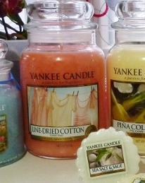 P1120032(3)(800x360)