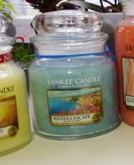 P1120032(4)(800x360)