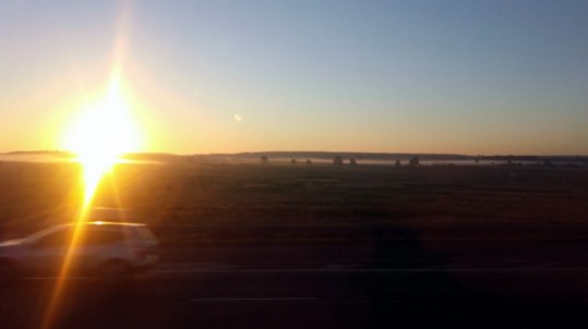 20160807_063141 (800x449)