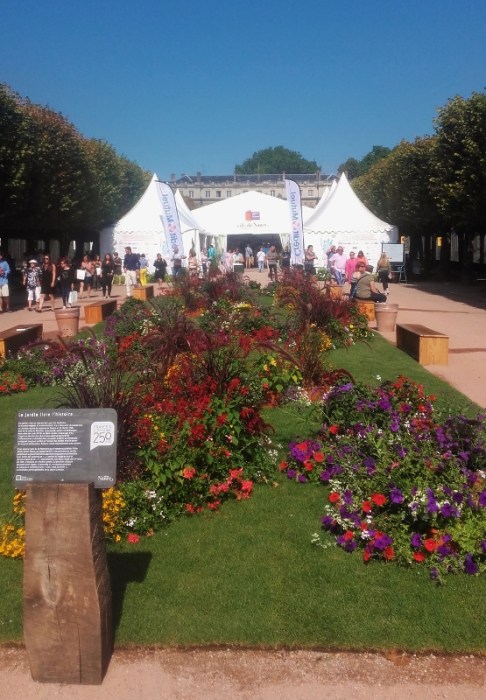 20160910_121955-555x800