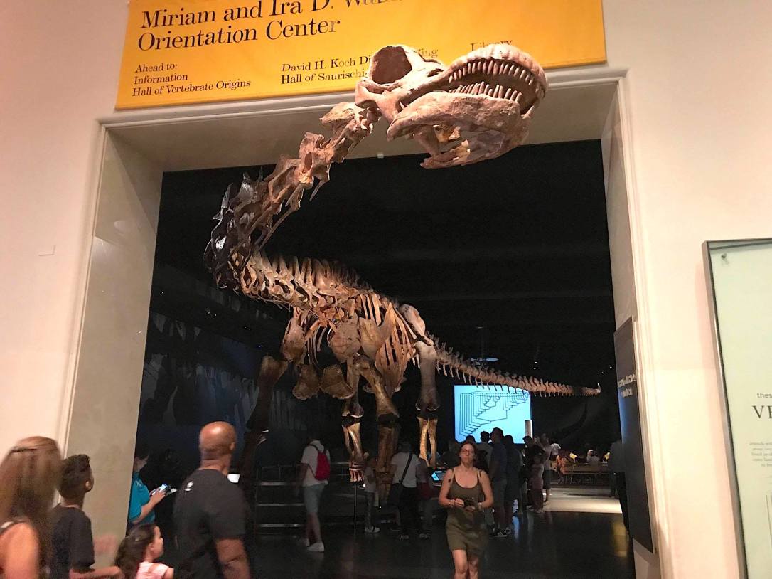 41715297_239027123446371_1337629047072489472_n