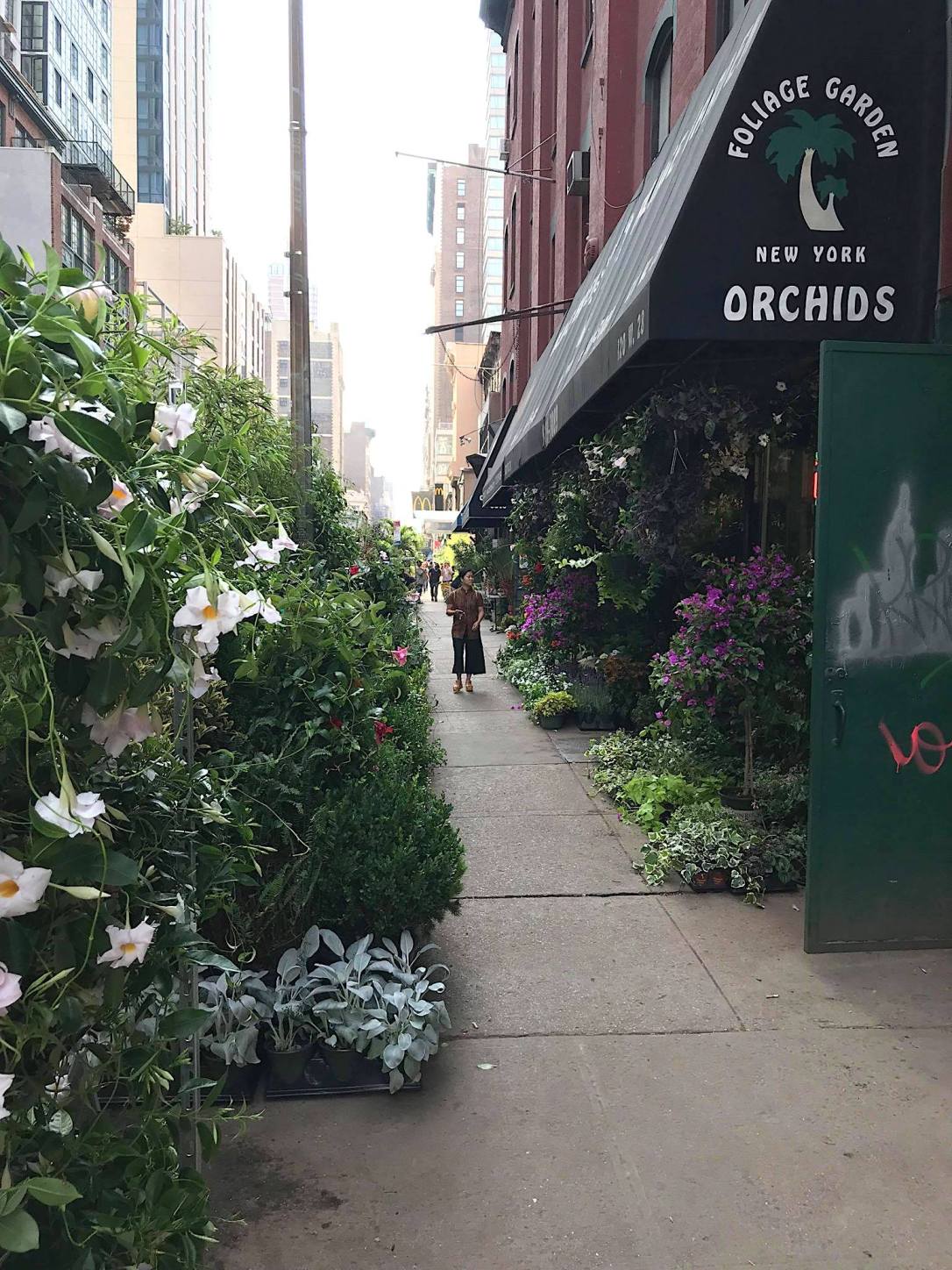 41824734_2121880854502302_8734711574406627328_n